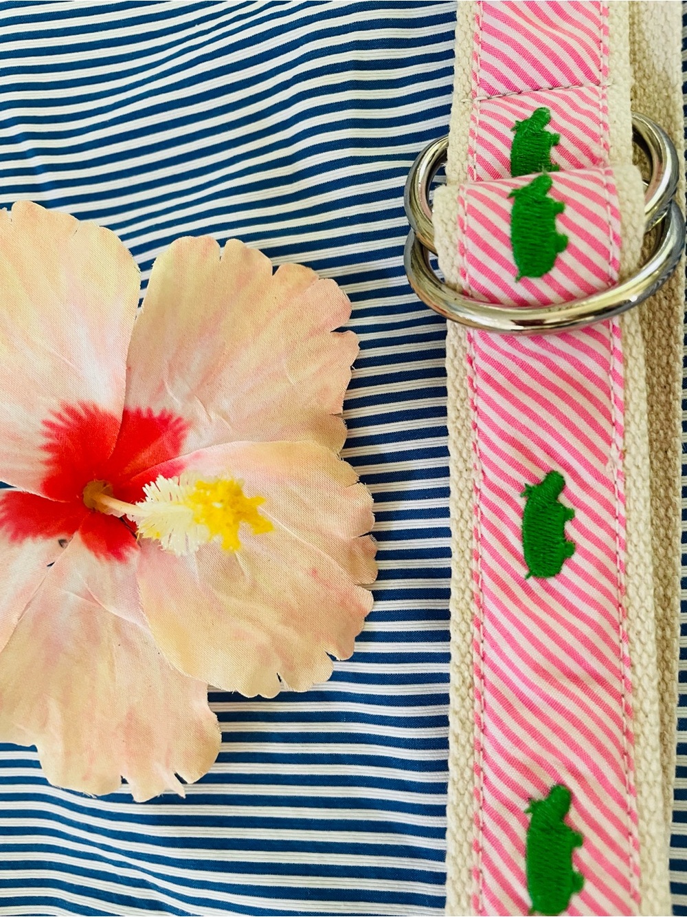 J. Crew Pink Striped Belt with Green Embroidered Hippo and Silver Rings - Picture 5 of 14